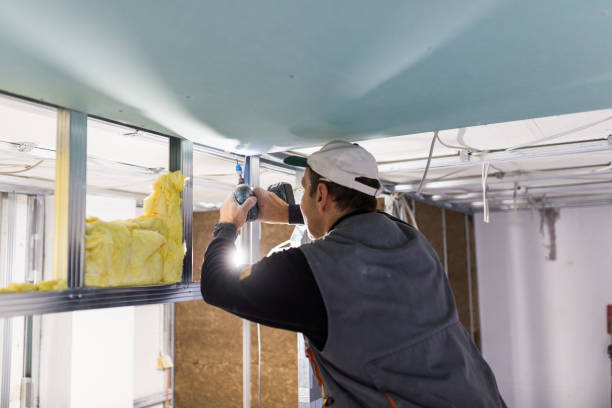 Eco-Friendly or Green Insulation Solutions in Campbell, FL