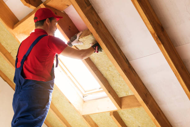 Types of Insulation We Offer in Campbell, FL